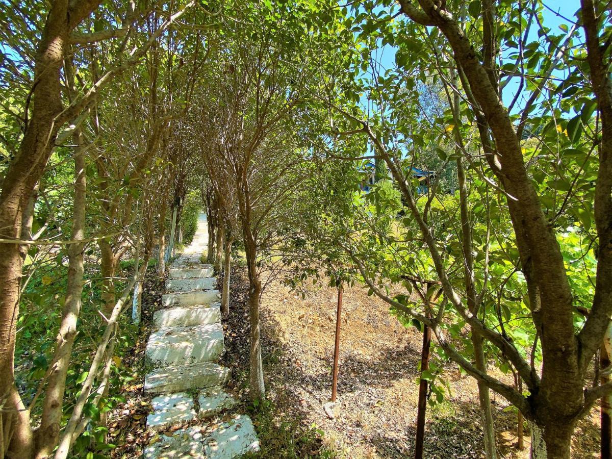 Ramo'S Green Beachside Retreat - Cozy 2 Bedroom Home Vlorë Exterior foto