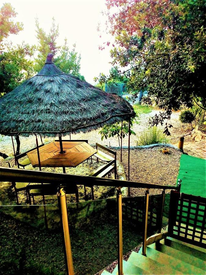 Ramo'S Green Beachside Retreat - Cozy 2 Bedroom Home Vlorë Exterior foto